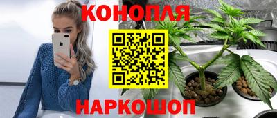 прущие крисы Славянск-на-Кубани