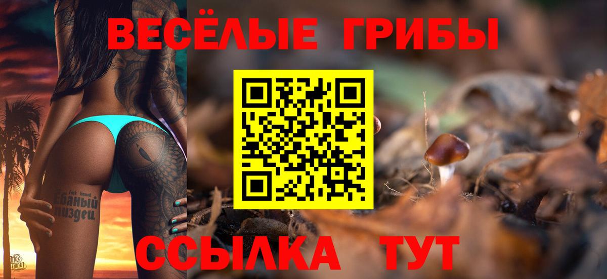 Обь  Псилоцибиновые грибы MAGIC MUSHROOMS  Вход с VPN  Галлюциногенные грибы Cubensis 